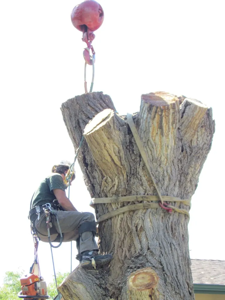 Local lawn mowing service in Aurora, CO - Ironwood Earthcare