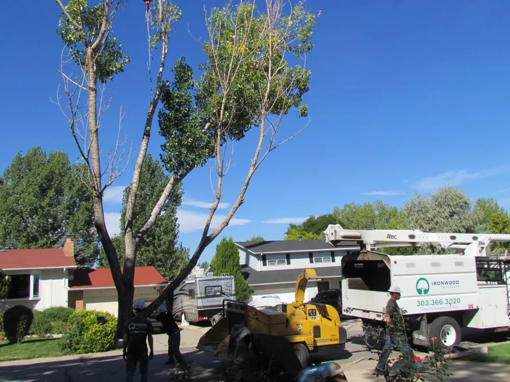 Professional landscaping services in Aurora, CO - Ironwood Earthcare