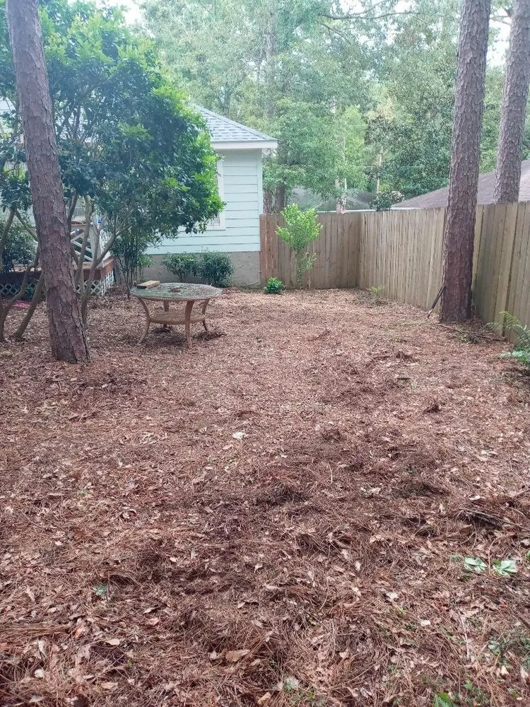 Top-rated lawn mowing service in Mobile, AL by Ironwood Grinders