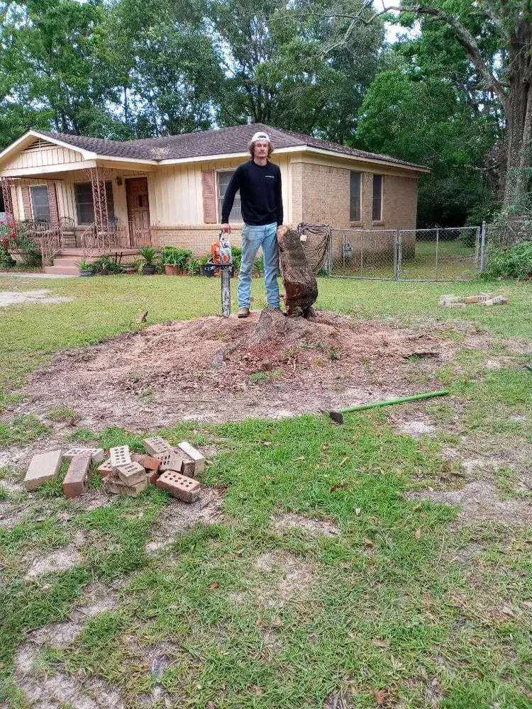 Top-rated garden landscaping with custom design across Mobile, AL - Ironwood Grinders