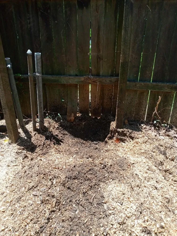 Custom yard cleanup service for beautiful yards in Mobile, AL by Ironwood Grinders