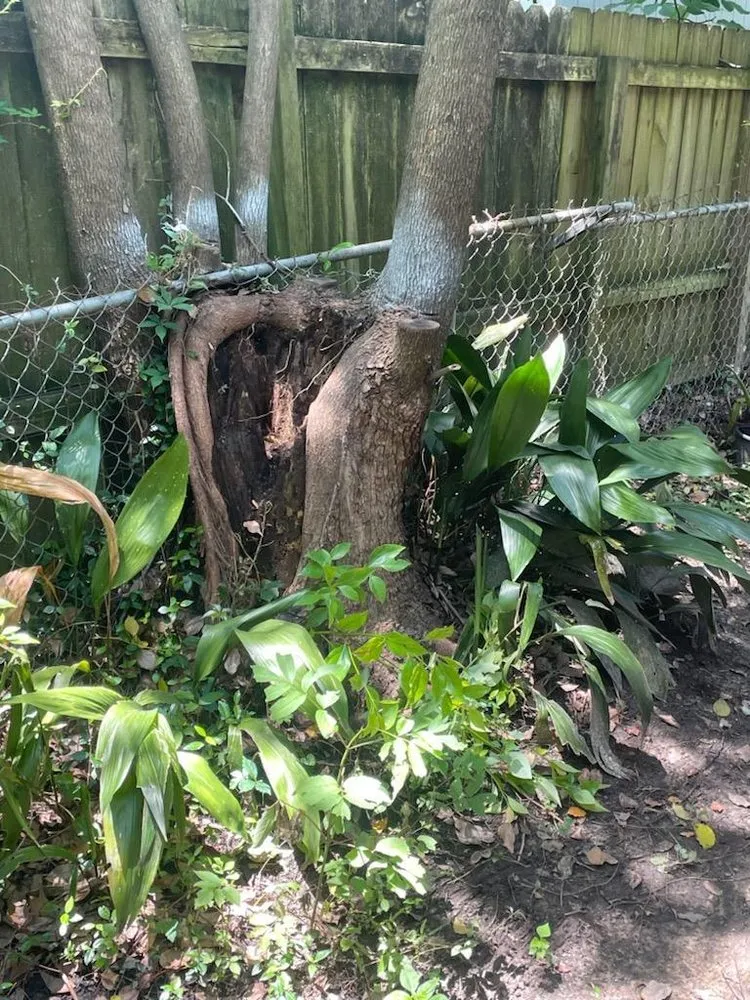 Affordable landscape design with custom design across Mobile, AL - Ironwood Grinders