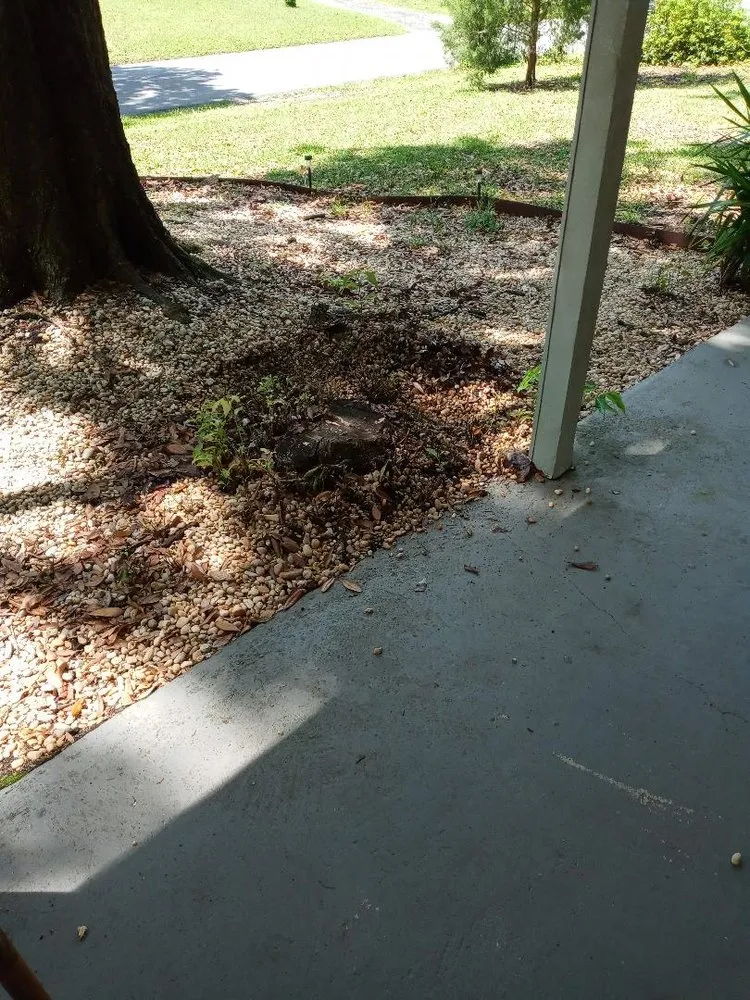 Reliable landscape design experts serving Mobile, AL - Ironwood Grinders