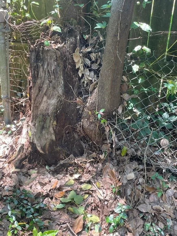 Expert lawn care service in Mobile, AL by Ironwood Grinders