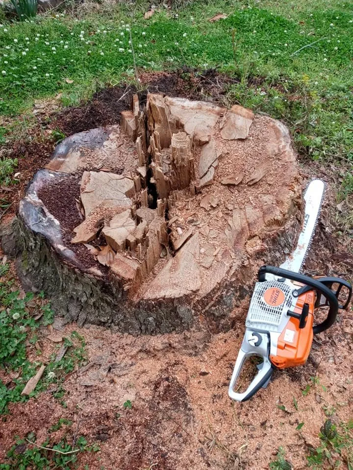 Expert residential landscaping experts serving Mobile, AL - Ironwood Grinders