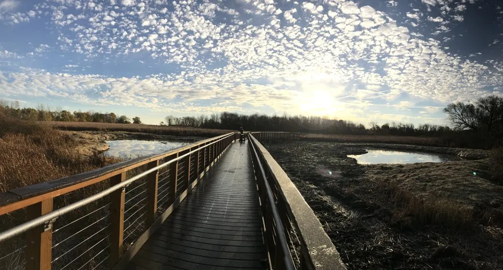 Local yard maintenance for homes across Henrietta, NY - Ironwood Heavy Highway