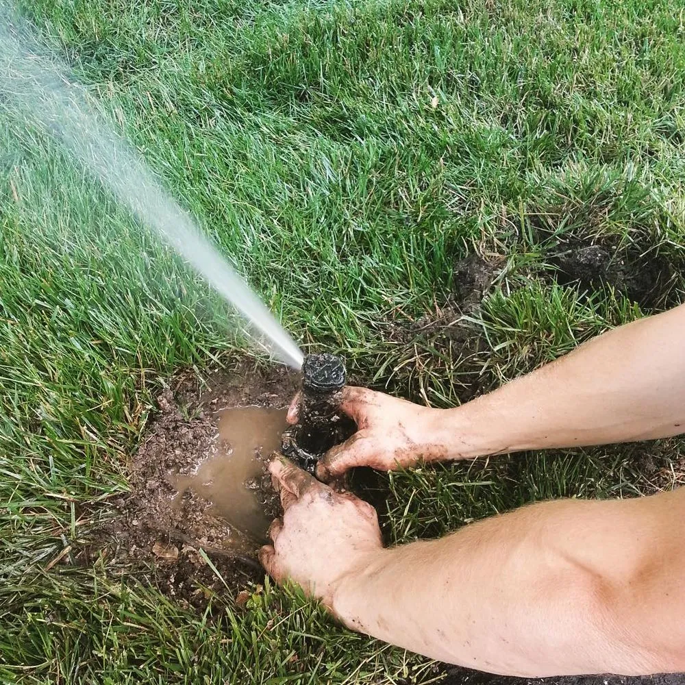 Top-rated residential landscaping for year-round maintenance in St. Louis, MO by Irreco