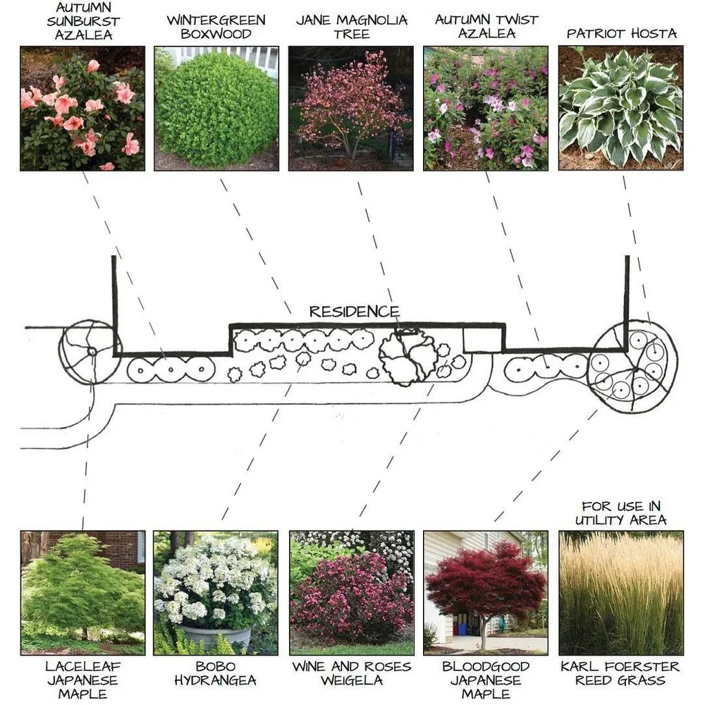 Professional yard cleanup service in St. Louis, MO by Irreco