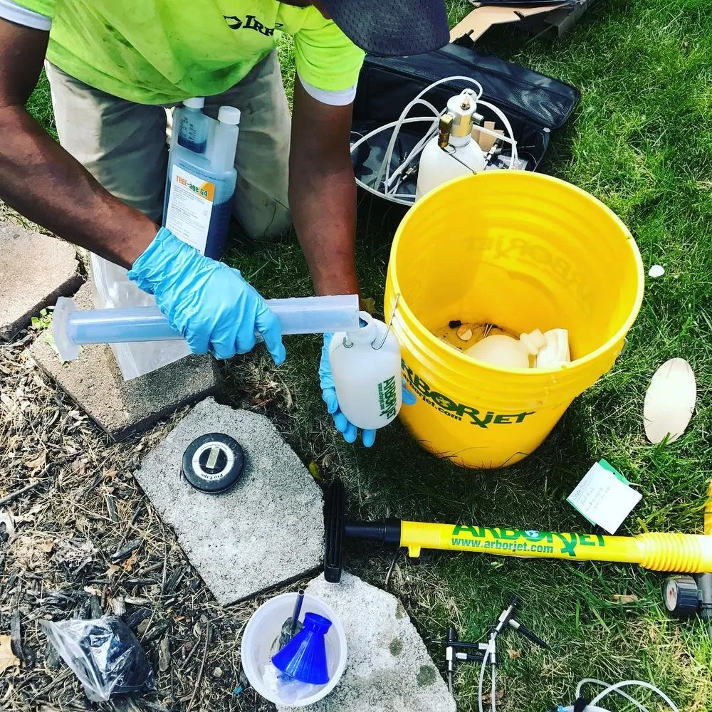 Expert garden landscaping in St. Louis, MO - Irreco