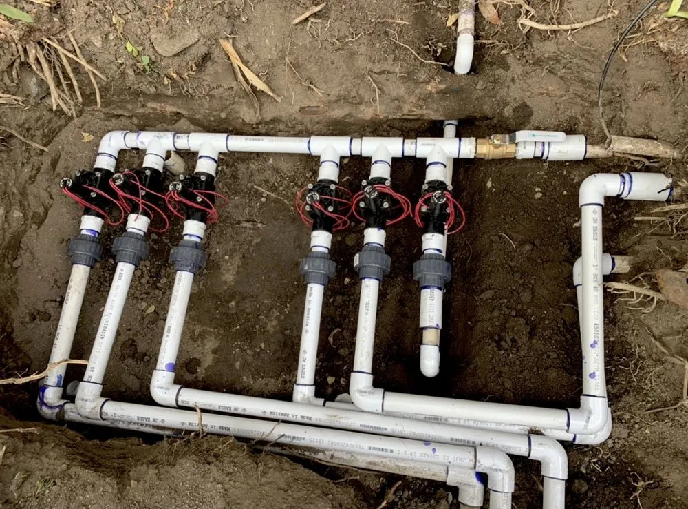 Reliable landscape design in Los Angeles, CA by Irrigation & Fertilizer