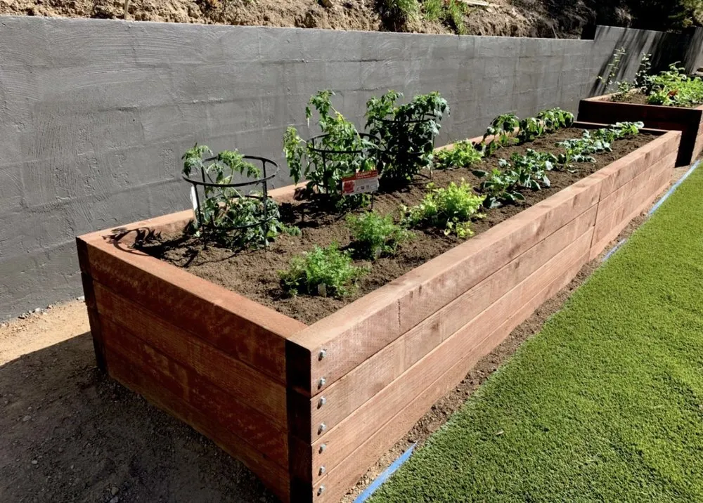 Top-rated lawn mowing service with custom design in Los Angeles, CA by Irrigation & Fertilizer