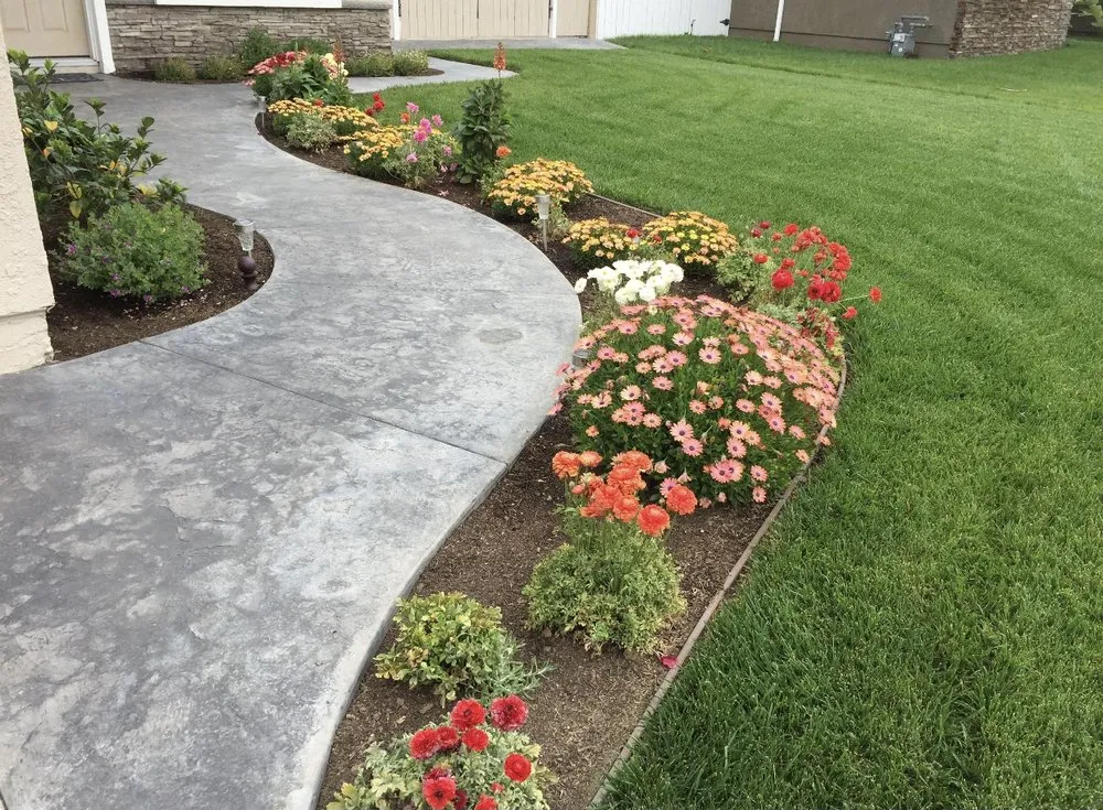 Local yard cleanup service for beautiful yards in Los Angeles, CA by Irrigation & Fertilizer