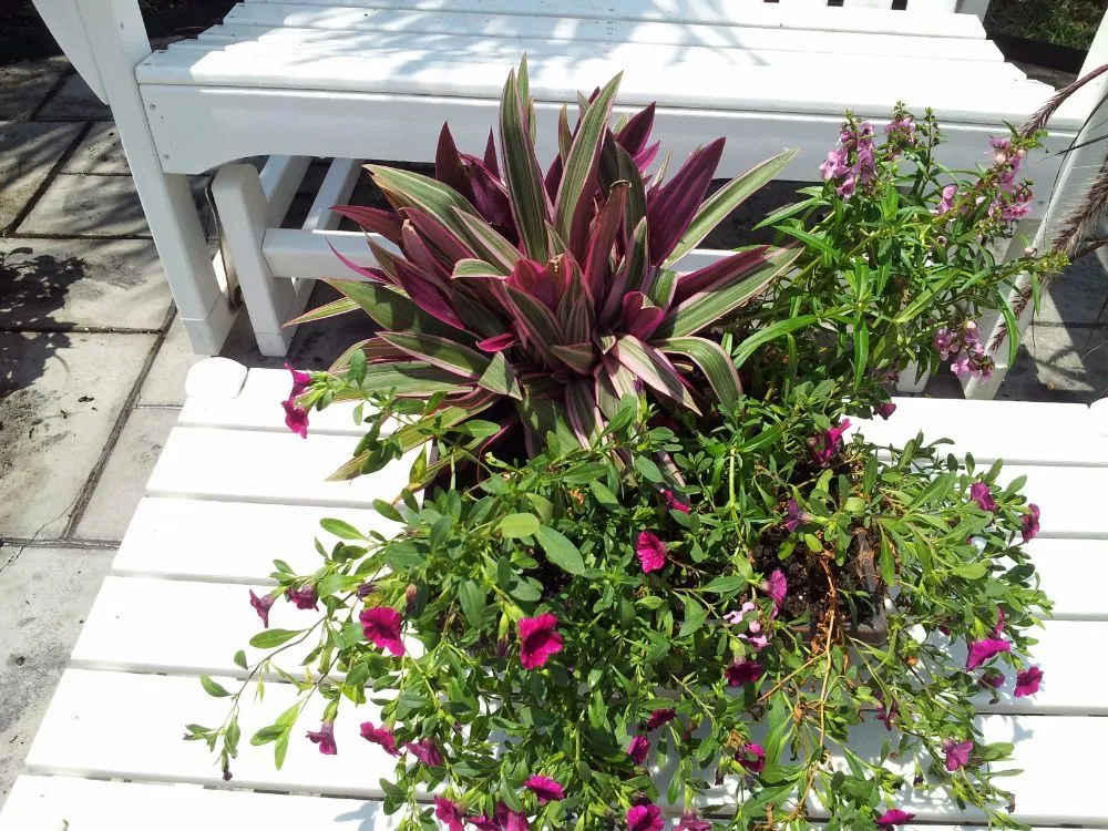 Professional landscape installation for residential properties in Murrells Inlet, SC by Irrigation And Landscaping