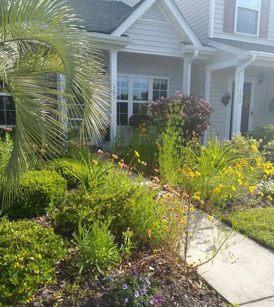 Local yard cleanup service experts serving Murrells Inlet, SC - Irrigation And Landscaping