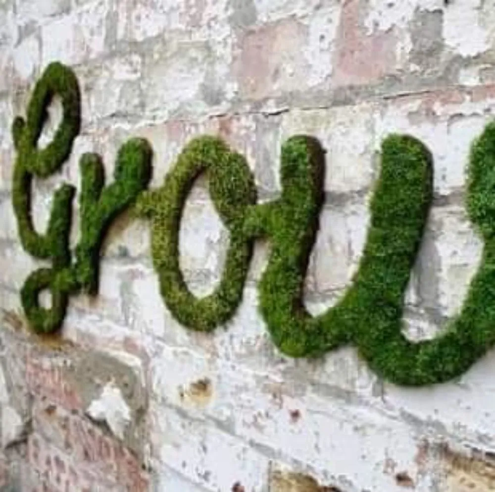 Affordable yard maintenance in Murrells Inlet, SC by Irrigation And Landscaping