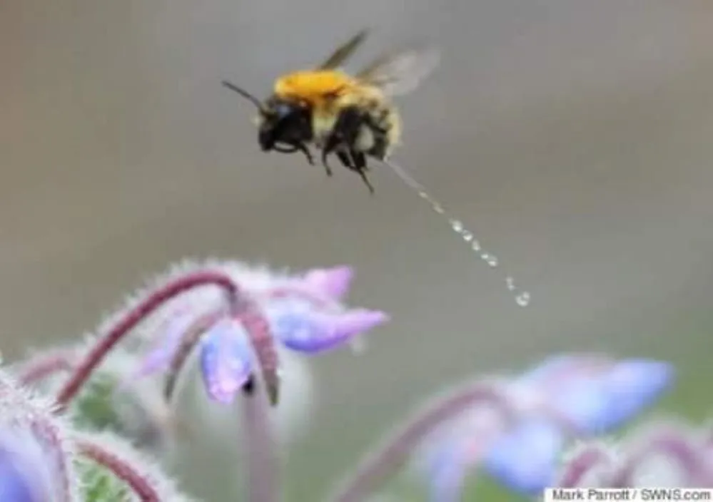 Trusted lawn care service experts serving Murrells Inlet, SC - Irrigation And Landscaping