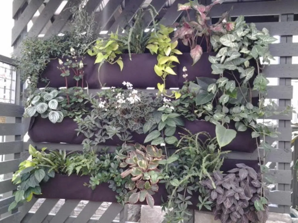 Affordable residential landscaping in Murrells Inlet, SC - Irrigation And Landscaping