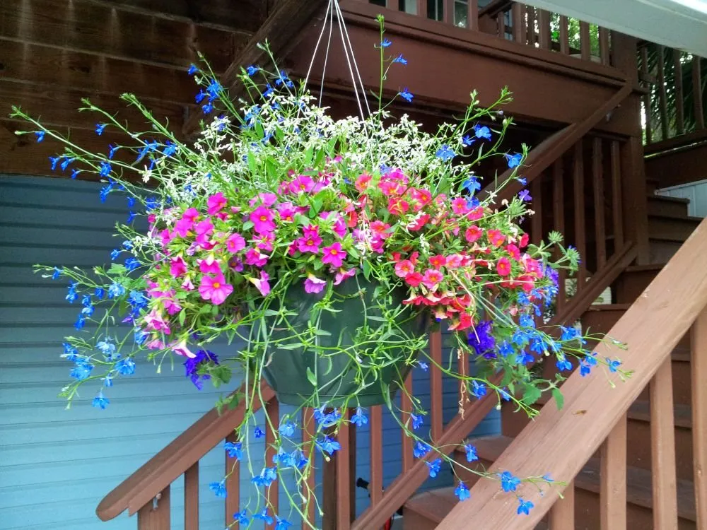 Local lawn care service in Murrells Inlet, SC - Irrigation And Landscaping