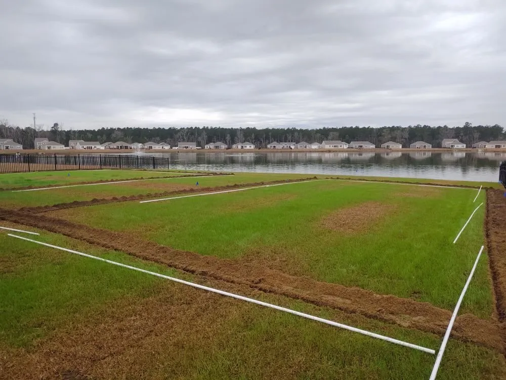 Top-rated landscaping services for year-round maintenance in Murrells Inlet, SC by Irrigation And Landscaping