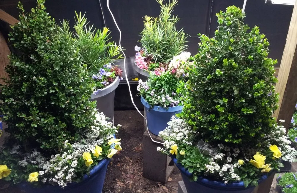 Reliable residential landscaping experts serving Murrells Inlet, SC - Irrigation And Landscaping