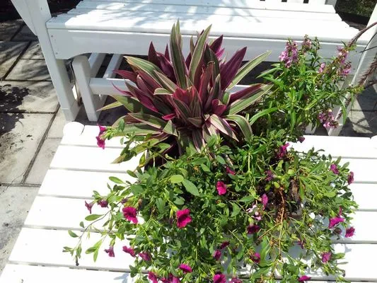 Irrigation And Landscaping Logo