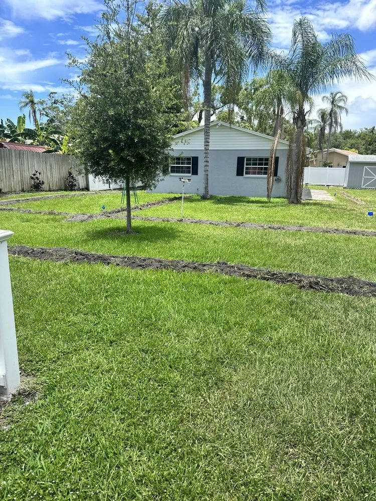 Custom lawn care service experts serving Clearwater, FL - Irrigation and Lawn Experts