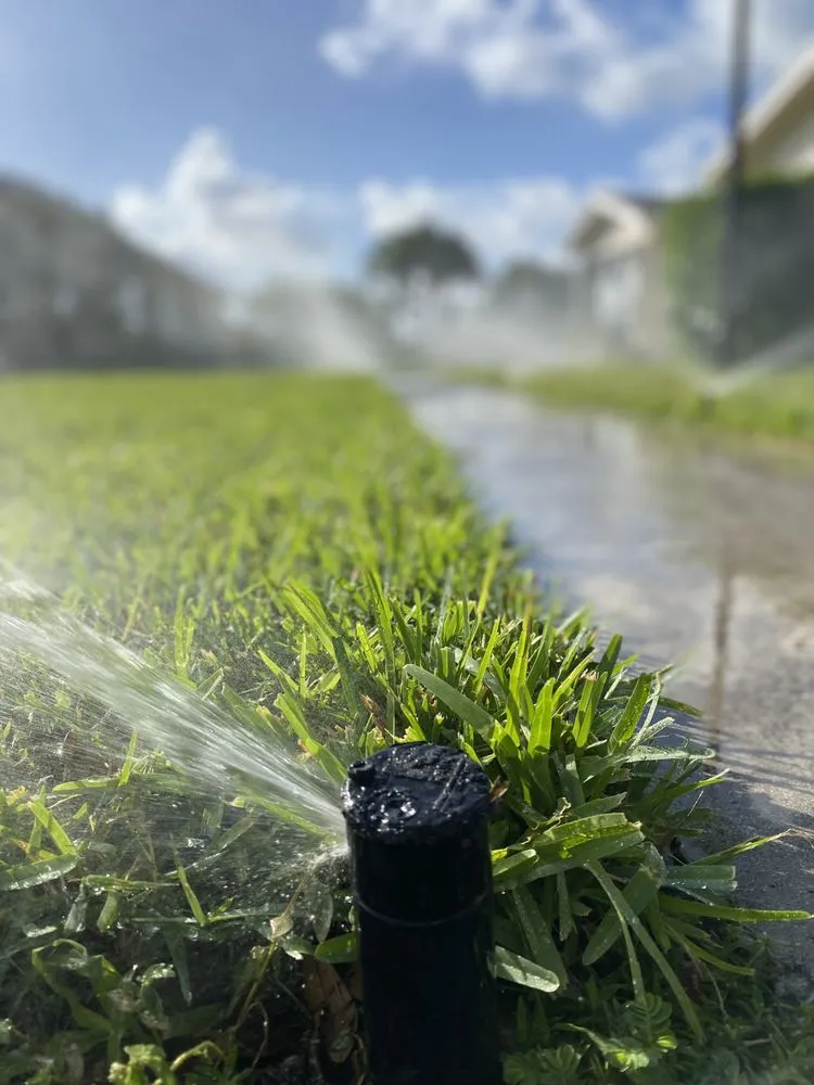 Local yard cleanup service with custom design across Boynton Beach, FL - Irrigation and Lighting Contractors