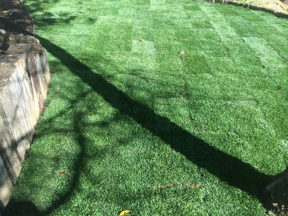 Top-rated lawn care service in Los Angeles, CA by Irrigation Co