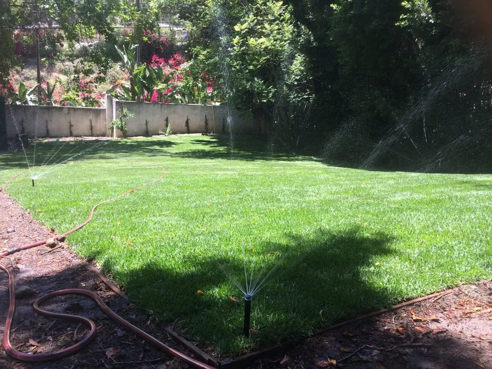 Local yard cleanup service in Los Angeles, CA by Irrigation Co