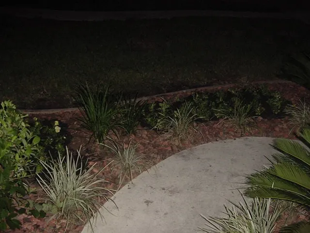 Local yard cleanup service in Macclenny, FL by Irrigation Doc's