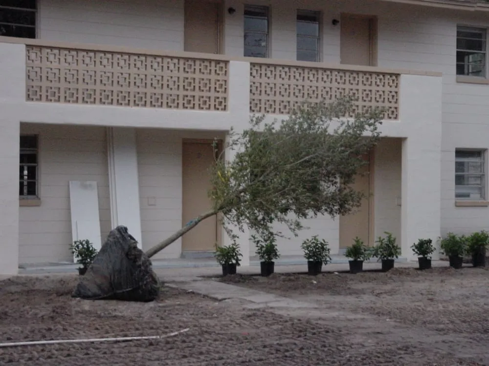 Custom landscaping services for beautiful yards in Macclenny, FL by Irrigation Doc's