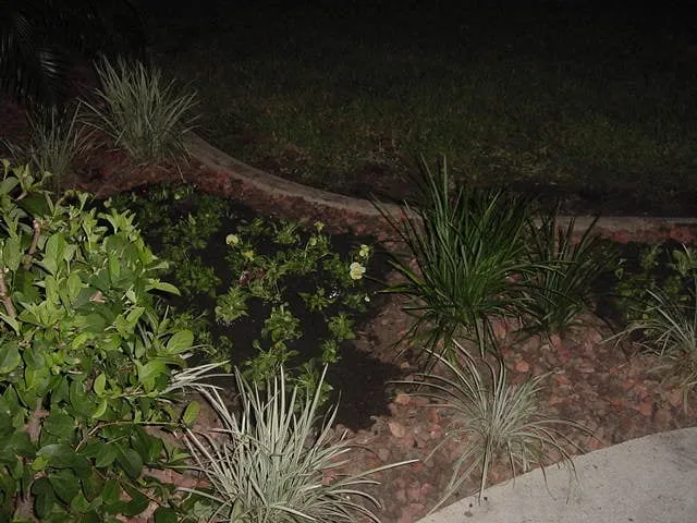 Expert landscaping services in Macclenny, FL - Irrigation Doc's