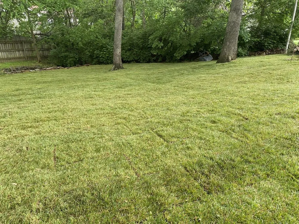 Local lawn care service experts serving Springdale, AR - Irrigation HQ