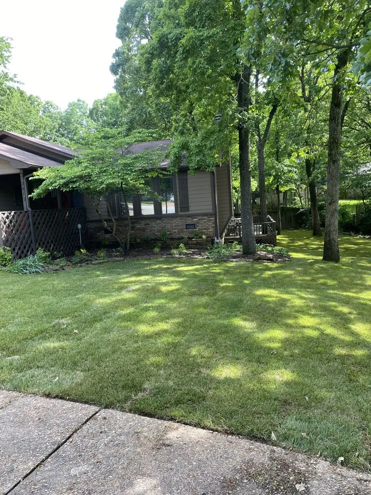 Affordable landscape design for outdoor upgrades across Springdale, AR - Irrigation HQ