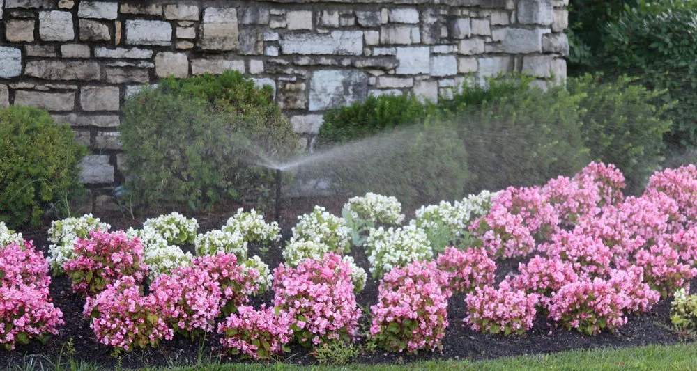 Affordable landscape design in Ronkonkoma, NY - Irrigation Innovation