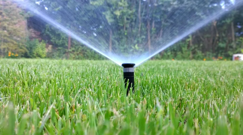 Affordable lawn care service experts serving Ronkonkoma, NY - Irrigation Innovation