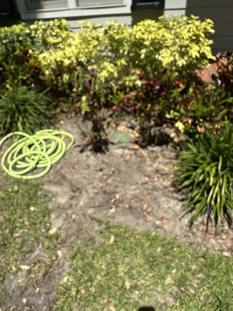 Affordable residential landscaping experts serving Seminole, FL - Irrigation King's Landscaping Services