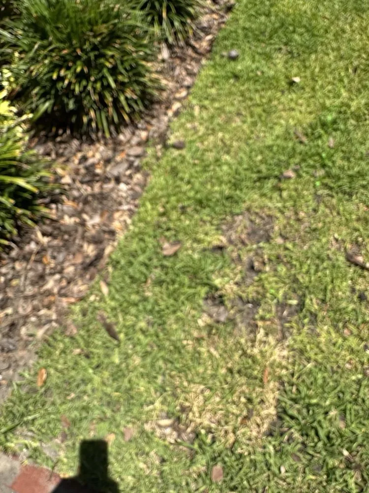 Custom lawn care service in Seminole, FL by Irrigation King's Landscaping Services