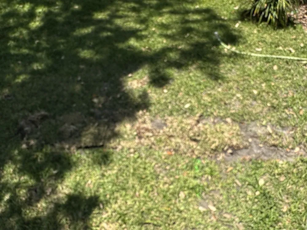 Custom lawn mowing service in Seminole, FL - Irrigation King's Landscaping Services