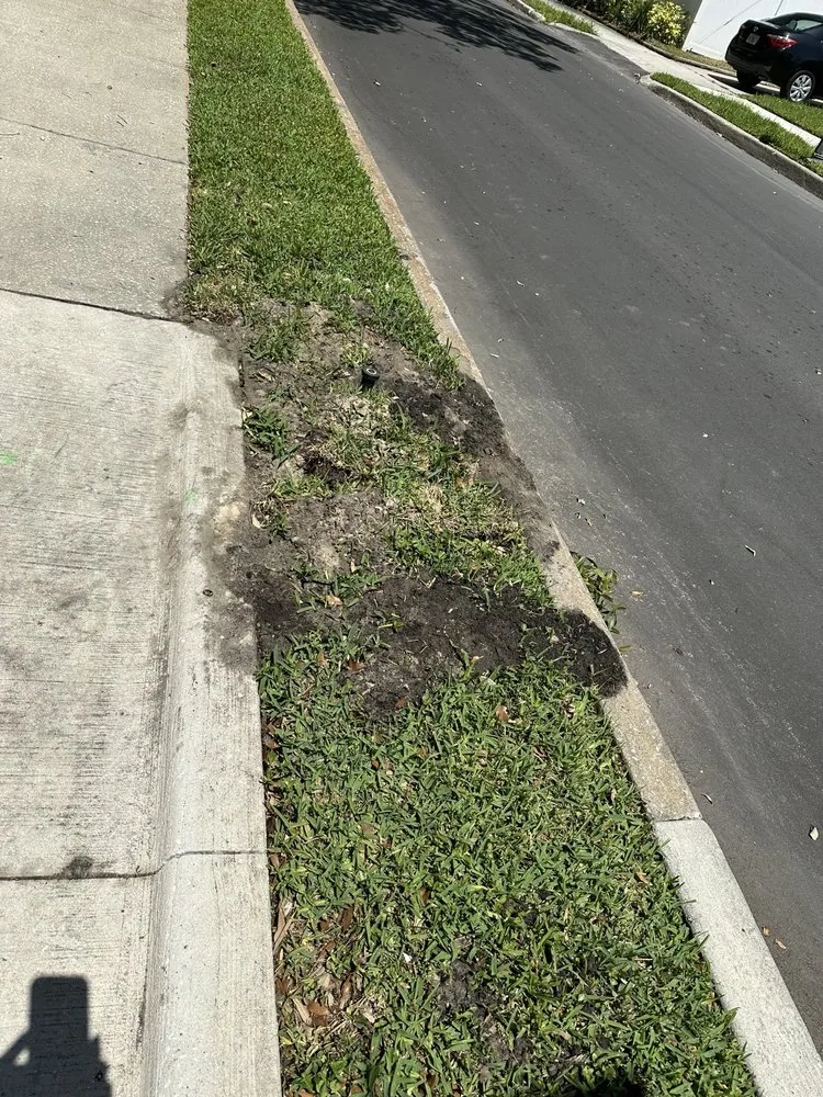 Reliable landscape installation for homes in Seminole, FL by Irrigation King's Landscaping Services