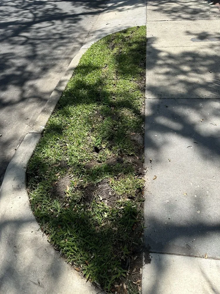 Expert garden landscaping in Seminole, FL by Irrigation King's Landscaping Services