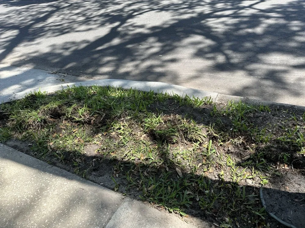 Local outdoor landscaping experts serving Seminole, FL - Irrigation King's Landscaping Services