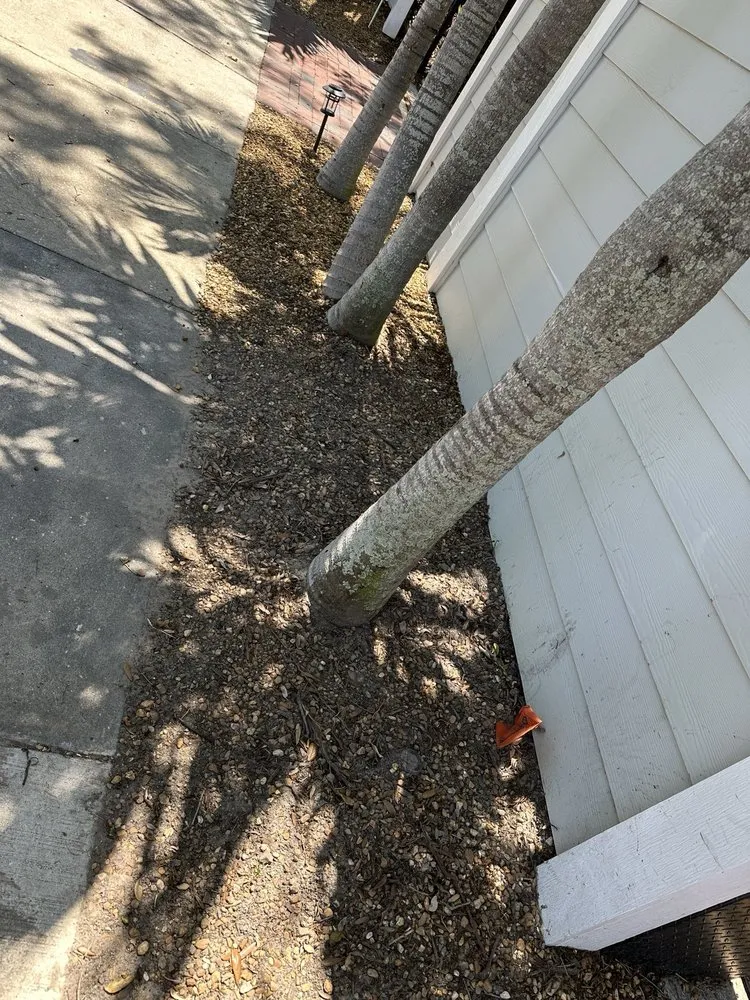 Local landscaping services for year-round maintenance across Seminole, FL - Irrigation King's Landscaping Services