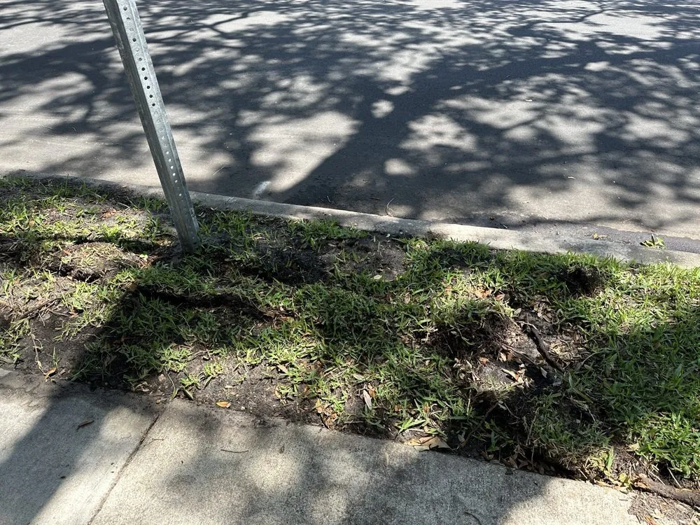 Professional landscape design for residential properties in Seminole, FL by Irrigation King's Landscaping Services