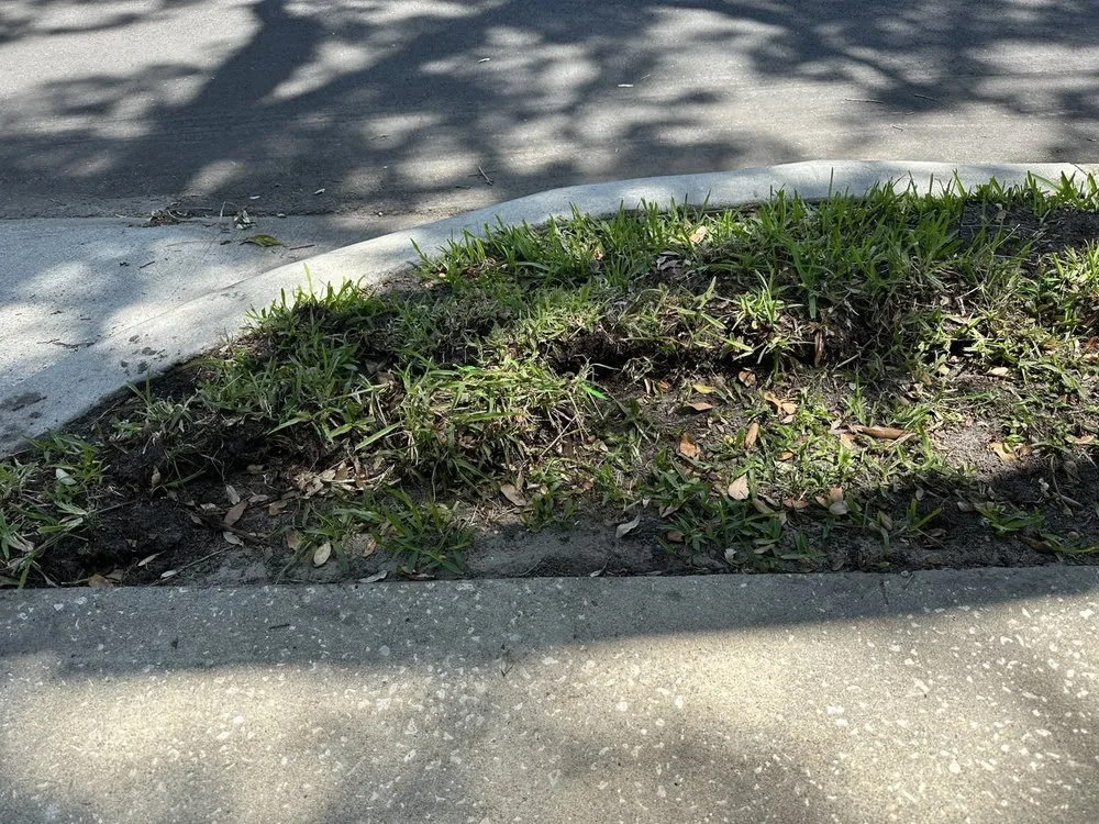 Professional landscape design for outdoor upgrades in Seminole, FL by Irrigation King's Landscaping Services