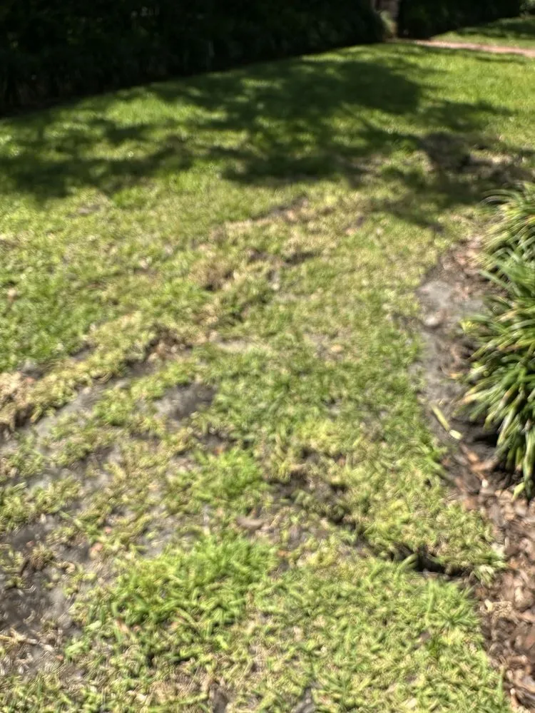 Trusted lawn care service in Seminole, FL by Irrigation King's Landscaping Services