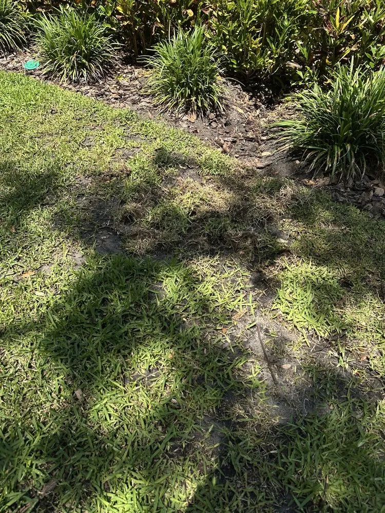 Local lawn mowing service experts serving Seminole, FL - Irrigation King's Landscaping Services