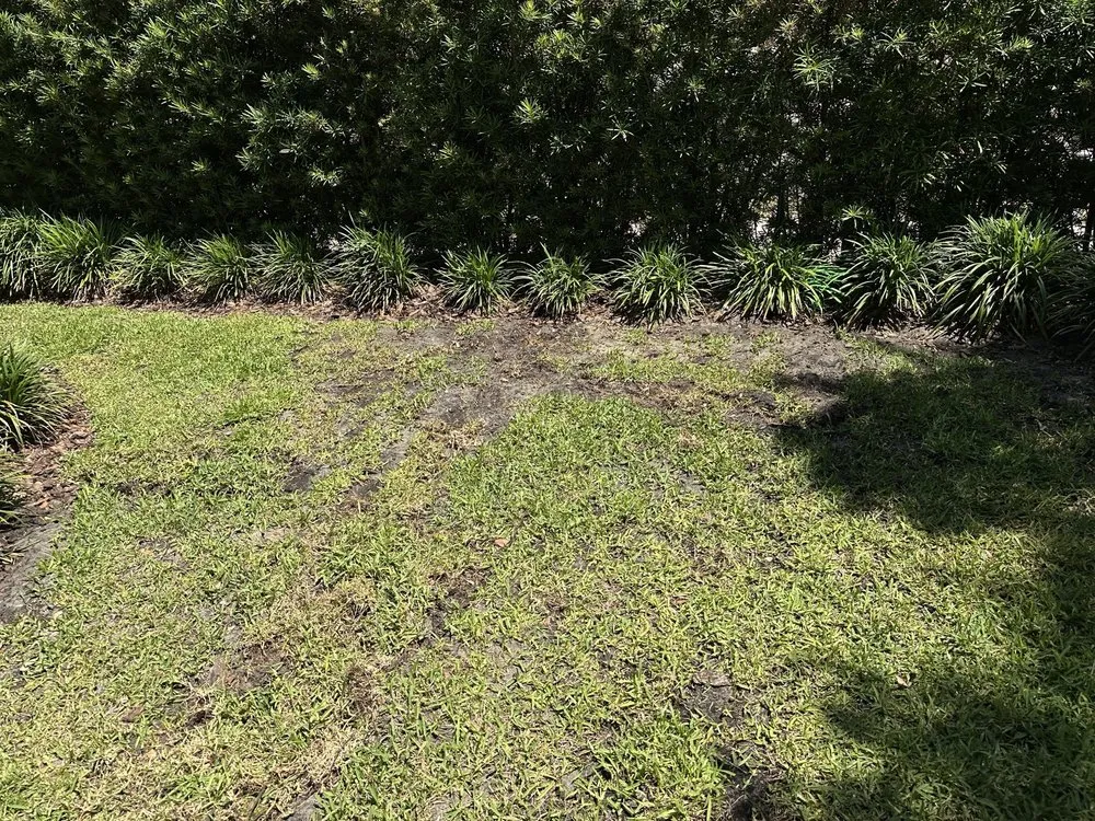 Custom lawn mowing service in Seminole, FL by Irrigation King's Landscaping Services