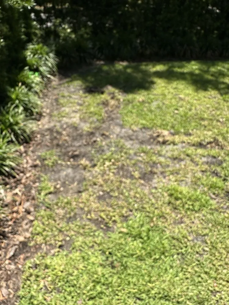 Local lawn care service for outdoor upgrades in Seminole, FL by Irrigation King's Landscaping Services