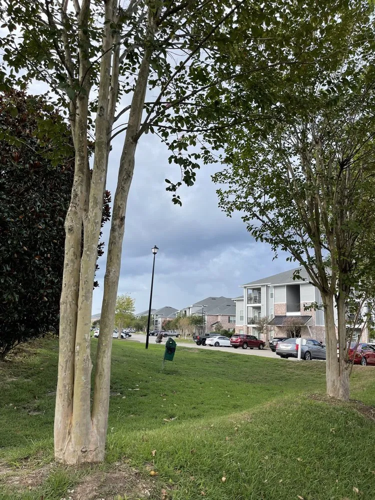 Affordable yard cleanup service in Saucier, MS - Irrigation Lawn Maintenance Specialist